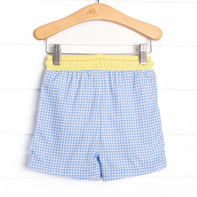 Gulf Gingham Swim Trunks, Blue