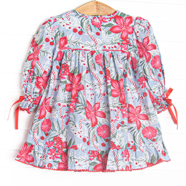 Bleu: Cranberry and Cane Smocked Long Sleeve Dress, Blue