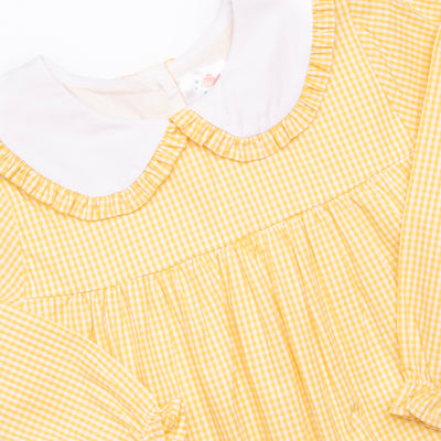 Feathered Friends Applique Dress, Yellow
