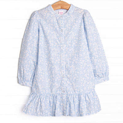 Delia Button Down Dress, Blue
