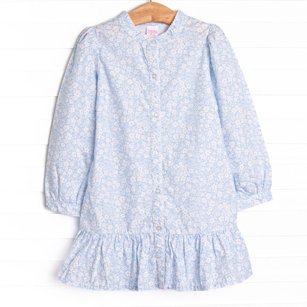 Delia Button Down Dress, Blue
