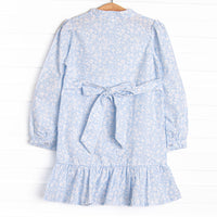 Delia Button Down Dress, Blue