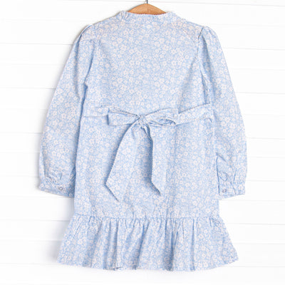 Delia Button Down Dress, Blue