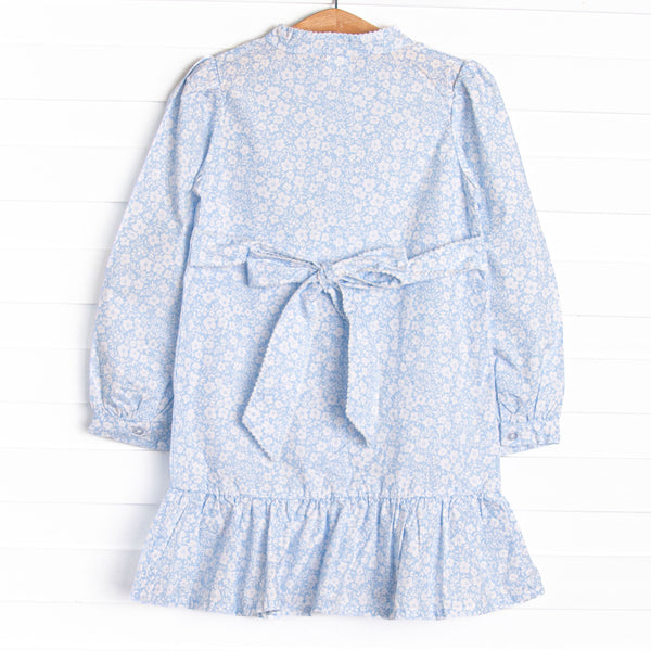 Delia Button Down Dress, Blue