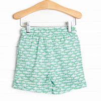 Lake Day Swim Trunks, Green