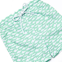 Lake Day Swim Trunks, Green