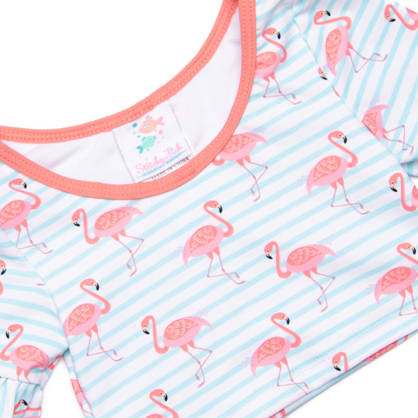 Fab Flamingos Tankini, Pink