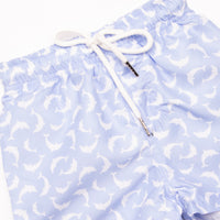 Dolphin Dive Swim Trunks, Blue