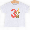 Party Pup 3rd Birthday, Boys Graphic Tee